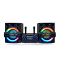 OMEGA Dual 10" Professional Home Theatre Speaker System