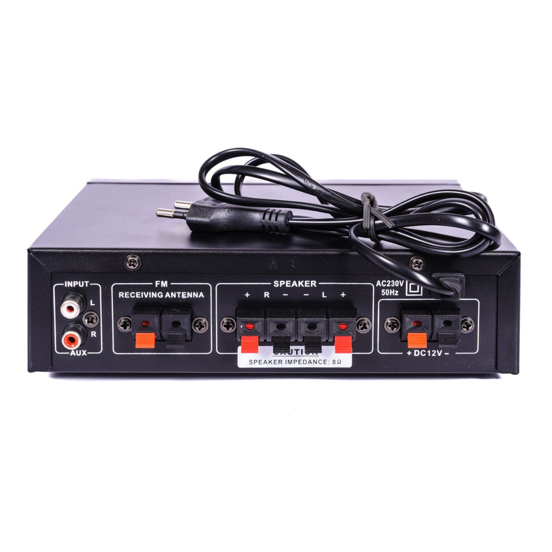 Omega AC/DC Mini Amplifier